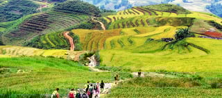 The Best Hiking and Trekking Trails in Vietnam The Best Hiking and Trekking Trails in Vietnam