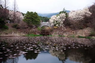 South Korea Islands And Its Scenic Beauty South Korea Islands And Its Scenic Beauty
