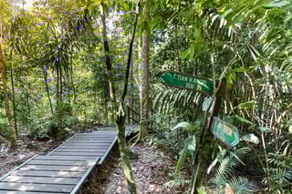 Malaysian Borneo