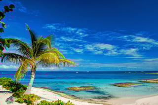 Available For Various Travel Purposes Available For Various Travel Purposes
