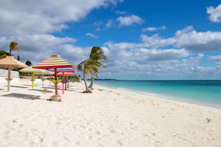 Grand Bahama Island A Haven For Nature Enthusiasts