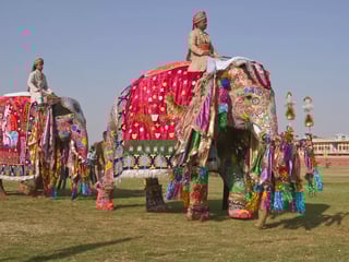 Elephant Festival (Jaipur, Rajasthan) Elephant Festival (Jaipur, Rajasthan)