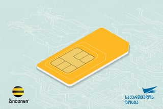 sim-card sim-card