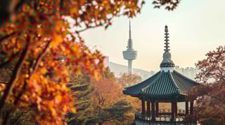South Korean Visa Requirements For Canadians