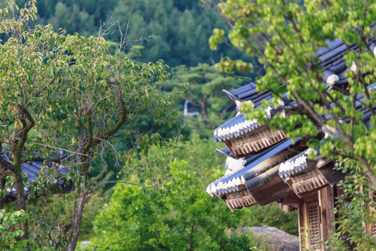 Andong Hahoe Folk Village A Step Back In Time