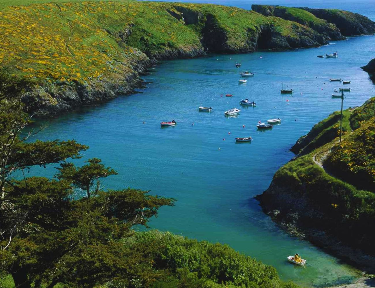 Discovering Untamed Beauty in French Southern Territories