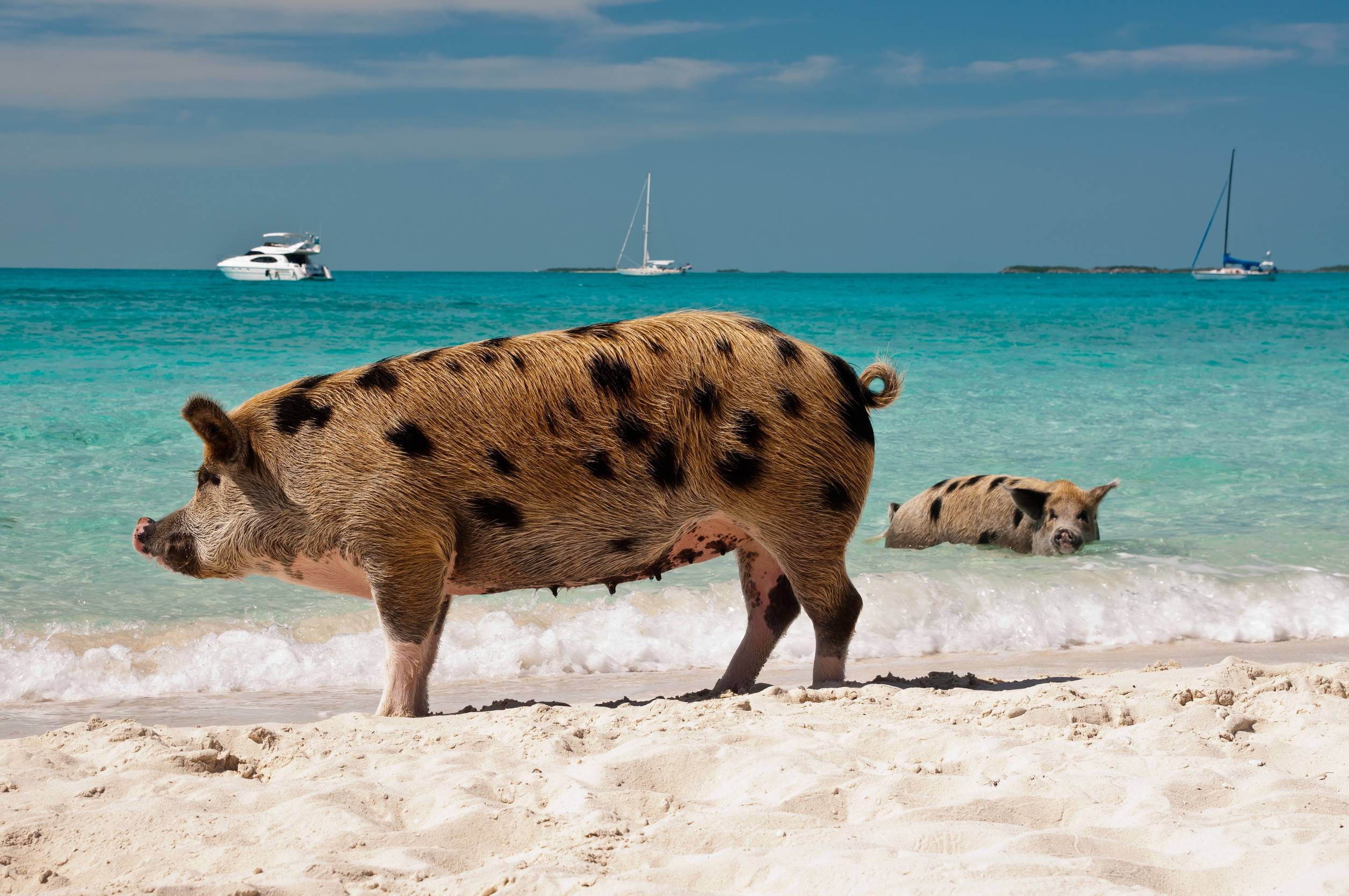 Discovering the Exuma Cays in Bahamas Discovering the Exuma Cays in Bahamas