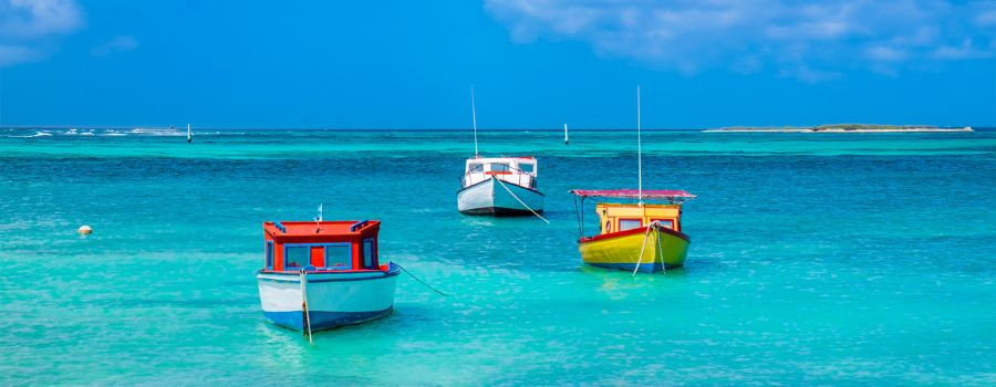 Obtaining Your Aruba ED Card Online Obtaining Your Aruba ED Card Online