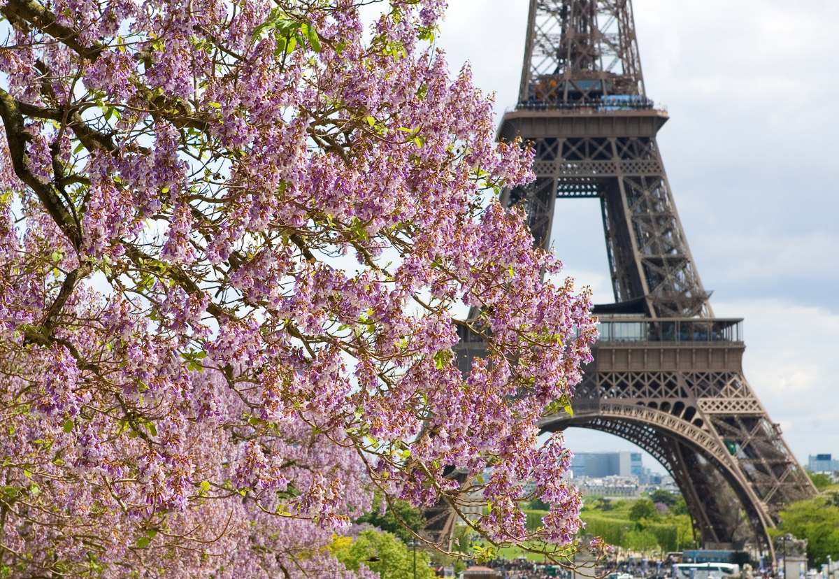 Discover 8 Compelling Reasons to Visit France in Spring Discover 8 Compelling Reasons to Visit France in Spring