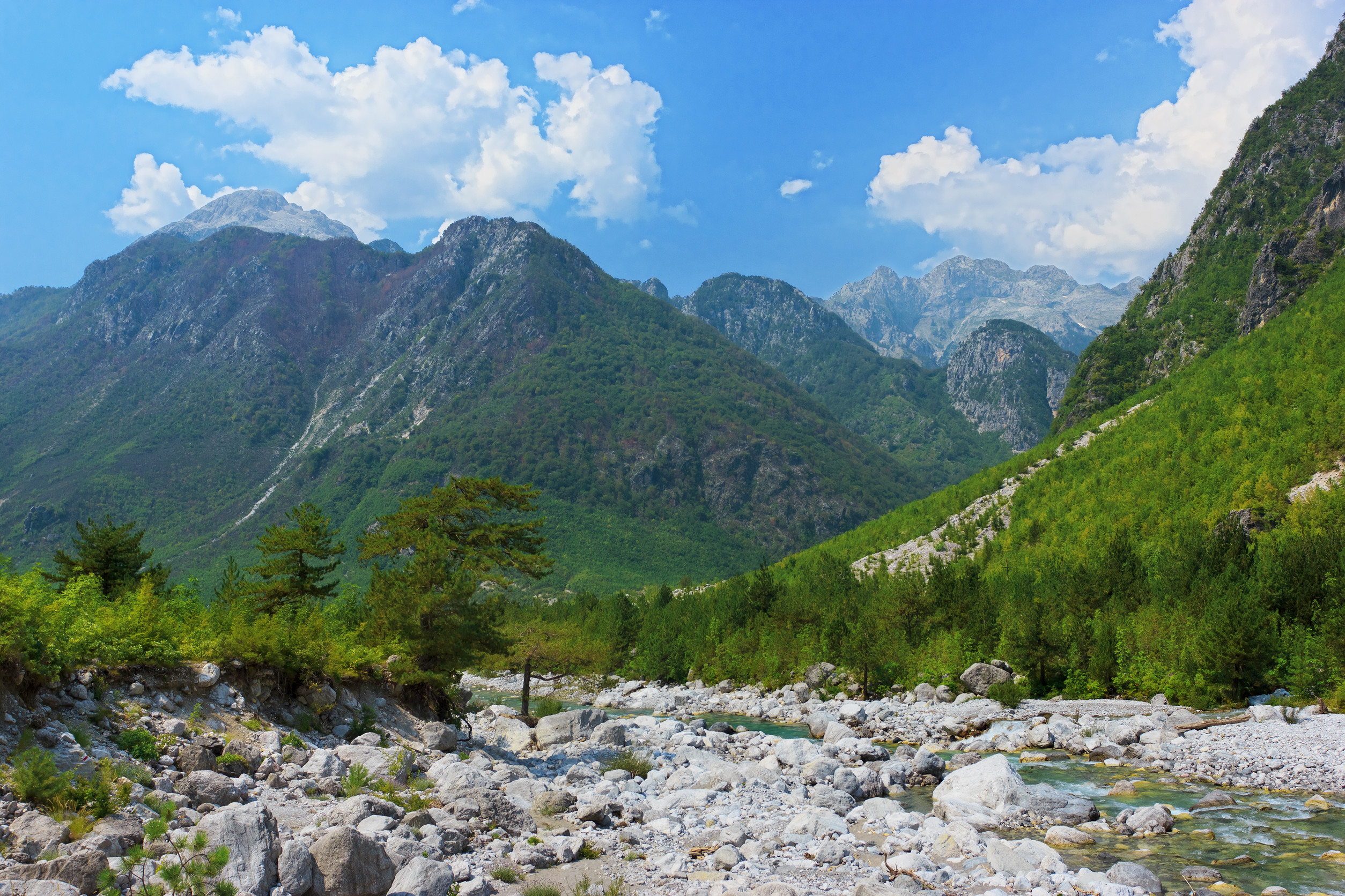 Your Digital Visa to Albanian Paradise