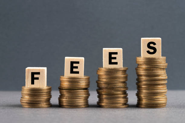 Angola Visa Fees for Egyptian Citizens