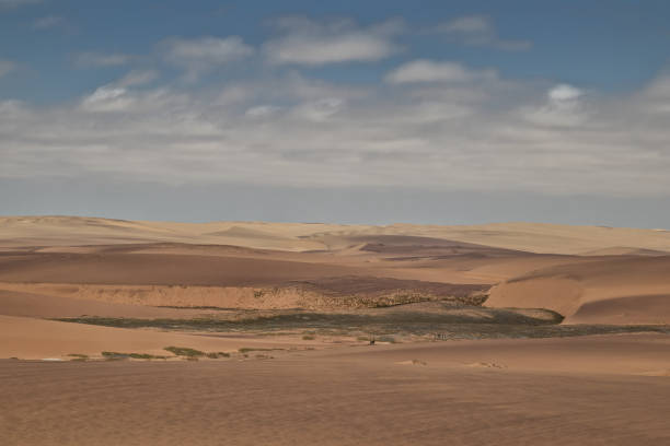 Dune Exploration in Namib Desert