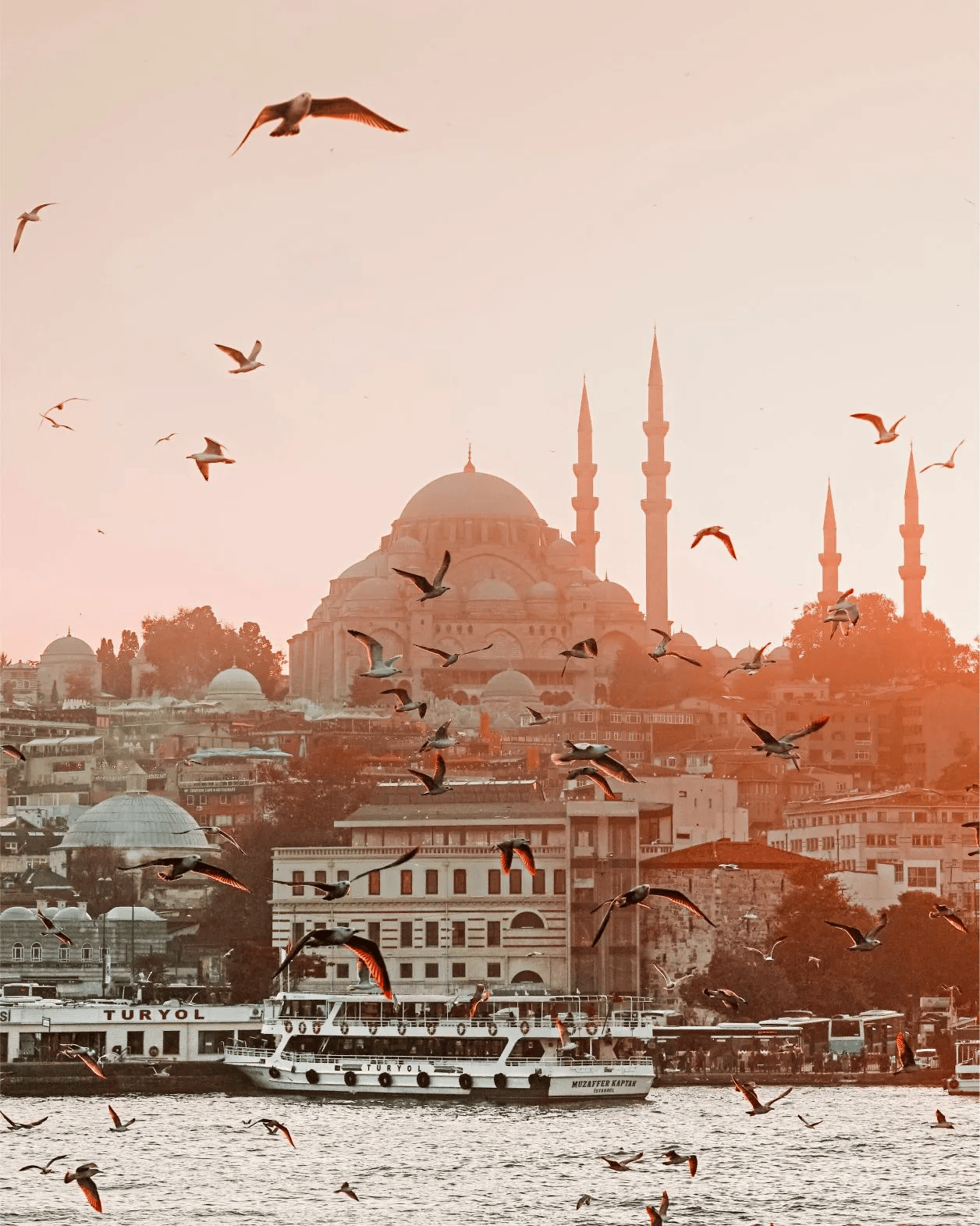 Estanbul