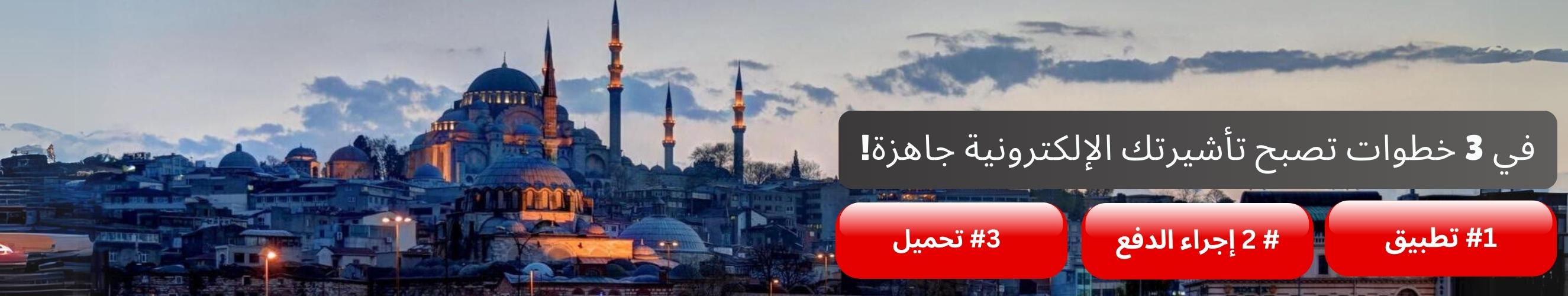 Turkish evisa